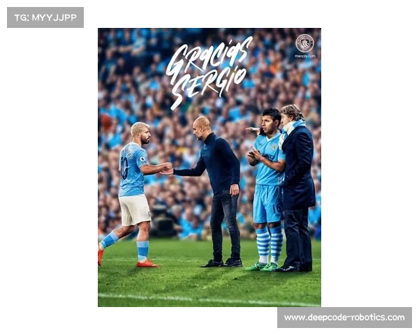 全景揭开法甲二十一冠荣光背后那些鲜为人知的隐秘谜样故事真相录 全景揭开法甲二十一冠荣光背后那些鲜为人知的隐秘谜样故事真相录